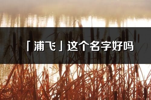 「浦飞」这个名字好吗_浦飞名字寓意,含义