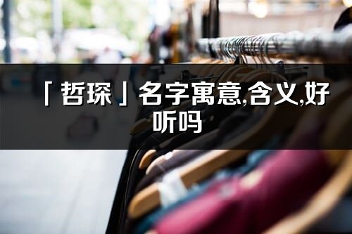 「哲琛」名字寓意,含义,好听吗_哲琛名字分析打分