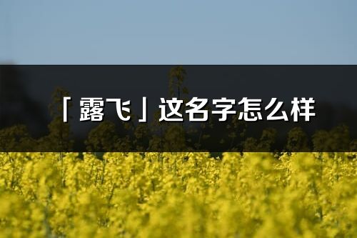 「露飞」这名字怎么样_露飞的名字解释