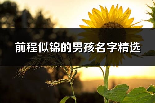 前程似锦的男孩名字精选