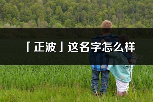 「正波」这名字怎么样_正波的名字解释