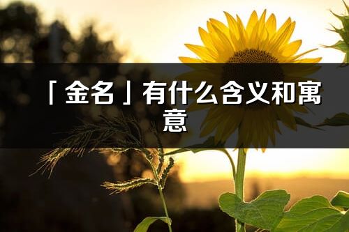 「金名」有什么含义和寓意_金名名字的出处与意思