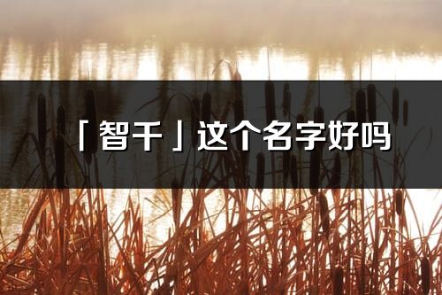 「智千」这个名字好吗_智千名字寓意,含义