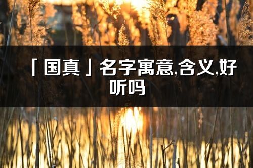 「国真」名字寓意,含义,好听吗_国真名字分析打分