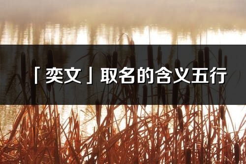 「奕文」取名的含义五行_奕文名字寓意解释