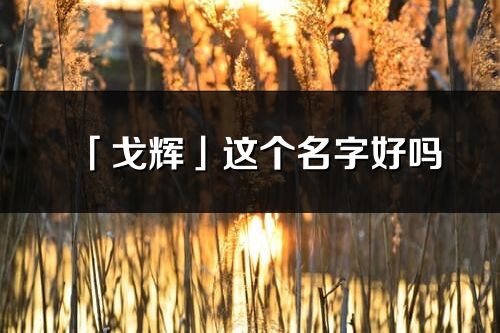 「戈辉」这个名字好吗_戈辉名字寓意,含义