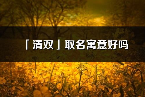 「清双」取名寓意好吗_清双名字含义及五行