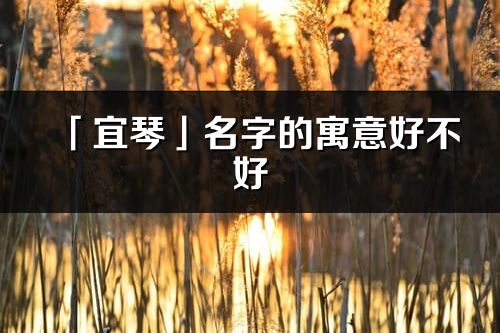 「宜琴」名字的寓意好不好_宜琴含义分析