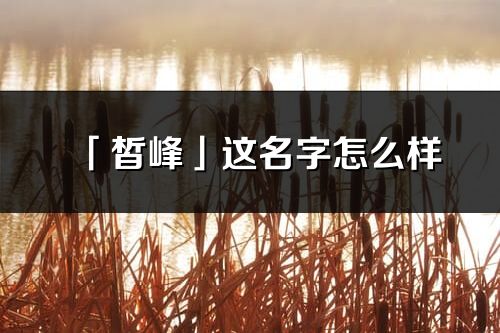 「皙峰」这名字怎么样_皙峰的名字解释