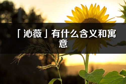 「沁薇」有什么含义和寓意_沁薇名字的出处与意思