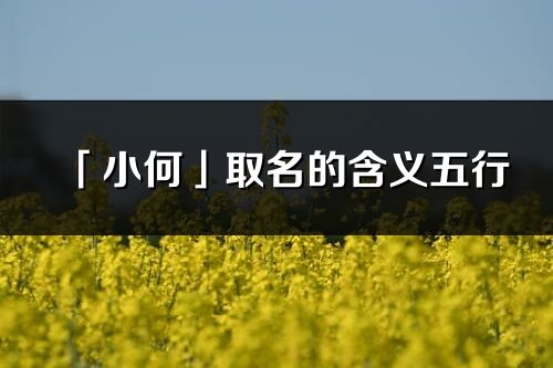 「小何」取名的含义五行_小何名字寓意解释