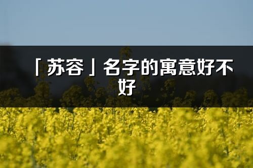 「苏容」名字的寓意好不好_苏容含义分析