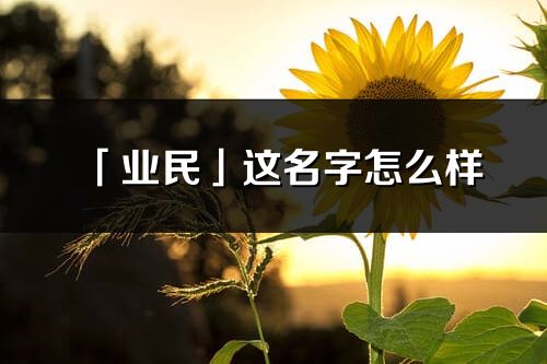 「业民」这名字怎么样_业民的名字解释