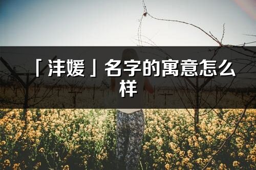 「沣媛」名字的寓意怎么样_沣媛的出处