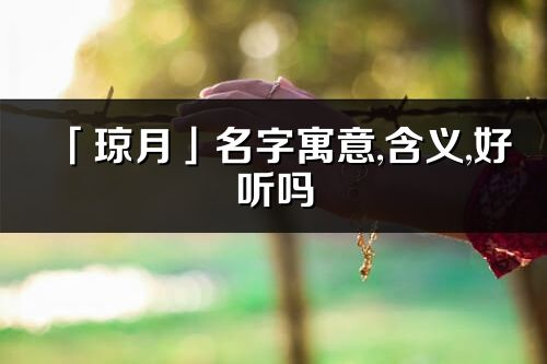 「琼月」名字寓意,含义,好听吗_琼月名字分析打分