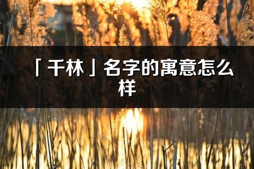 「千林」名字的寓意怎么样_千林的出处