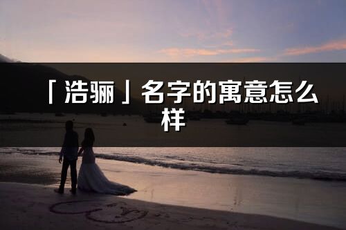 「浩骊」名字的寓意怎么样_浩骊的出处