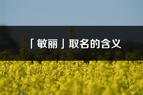 「敏丽」取名的含义_敏丽名字寓意