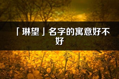 「琳望」名字的寓意好不好_琳望含义分析