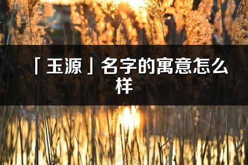 「玉源」名字的寓意怎么样_玉源的出处