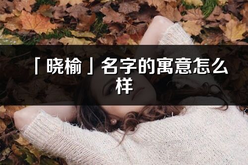 「晓榆」名字的寓意怎么样_晓榆的出处