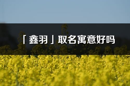 「鑫羽」取名寓意好吗_鑫羽名字含义及五行