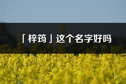 「梓筠」这个名字好吗_梓筠名字寓意,含义