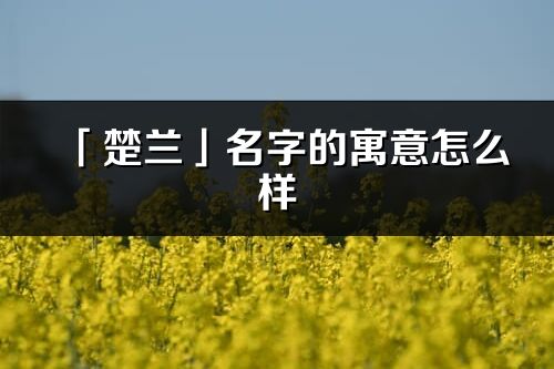 「楚兰」名字的寓意怎么样_楚兰的出处