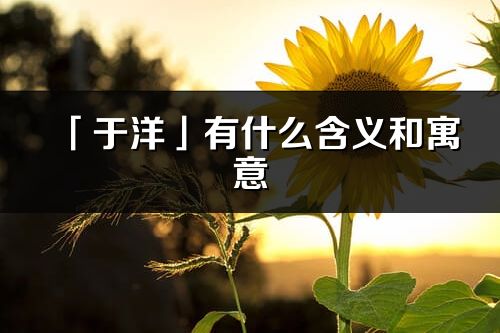 「于洋」有什么含义和寓意_于洋名字的出处与意思