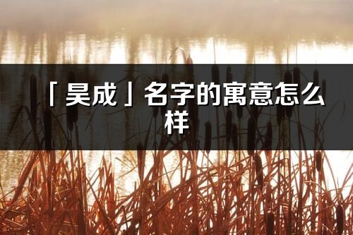 「昊成」名字的寓意怎么样_昊成的出处