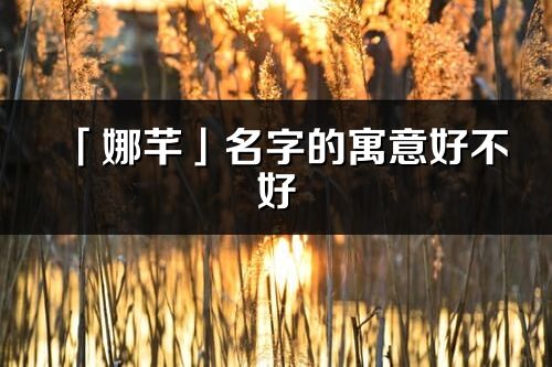 「娜芊」名字的寓意好不好_娜芊含义分析