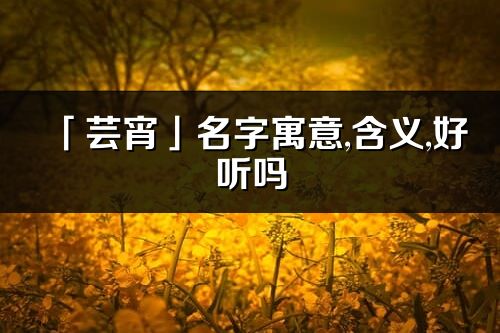 「芸宵」名字寓意,含义,好听吗_芸宵名字分析打分