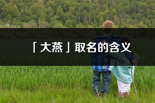 「大燕」取名的含义_大燕名字寓意解释