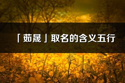 「茹晟」取名的含义五行_茹晟名字寓意解释