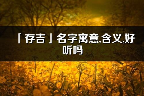 「存吉」名字寓意,含义,好听吗_存吉名字分析打分