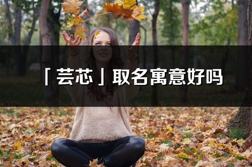 「芸芯」取名寓意好吗_芸芯名字含义及五行