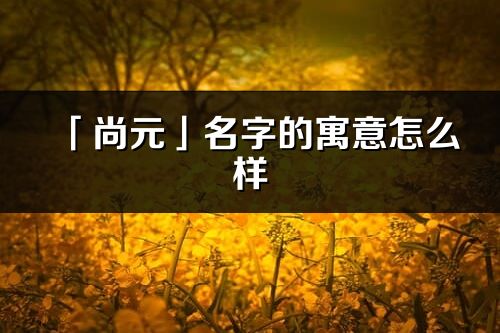 「尚元」名字的寓意怎么样_尚元的出处