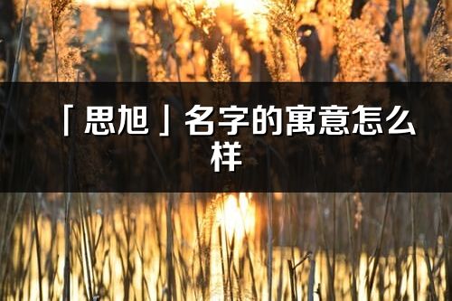 「思旭」名字的寓意怎么样_思旭的出处