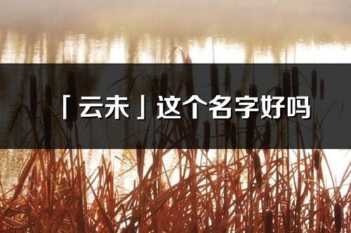 「云未」这个名字好吗_云未名字寓意,含义