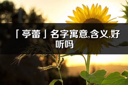 「亭蕾」名字寓意,含义,好听吗_亭蕾名字分析打分