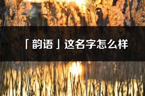 「韵语」这名字怎么样_韵语的名字解释