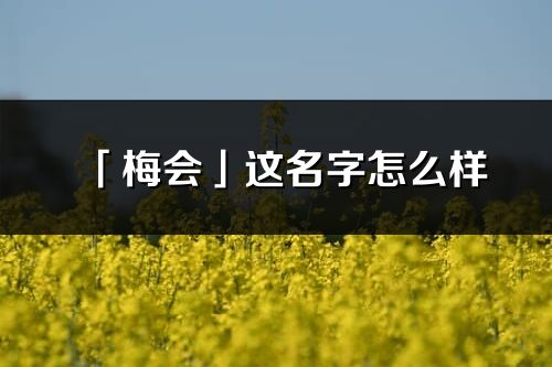 「梅会」这名字怎么样_梅会的名字解释