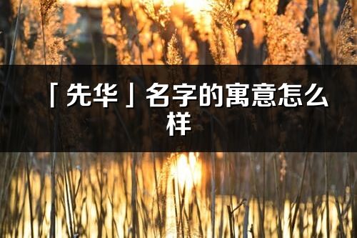 「先华」名字的寓意怎么样_先华的出处