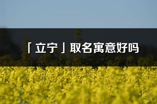 「立宁」取名寓意好吗_立宁名字含义及五行