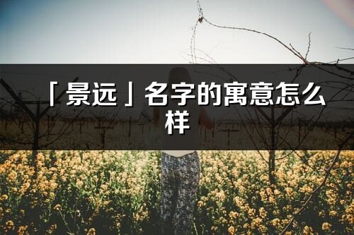 「景远」名字的寓意怎么样_景远的出处