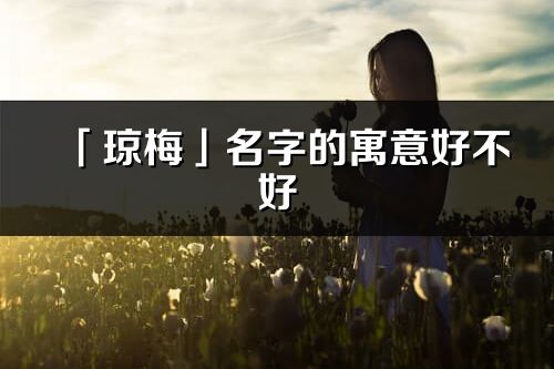 「琼梅」名字的寓意好不好_琼梅含义分析