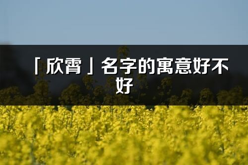 「欣霄」名字的寓意好不好_欣霄含义分析