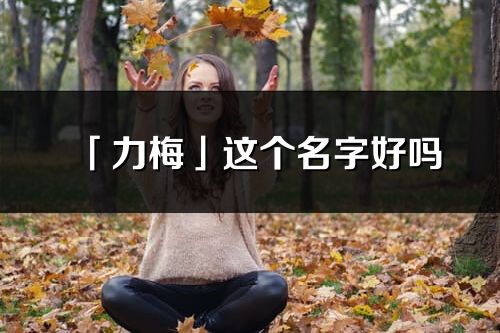 「力梅」这个名字好吗_力梅名字寓意,含义