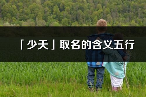 「少天」取名的含义五行_少天名字寓意解释