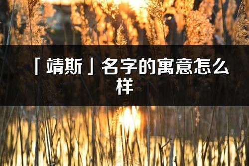 「靖斯」名字的寓意怎么样_靖斯的出处